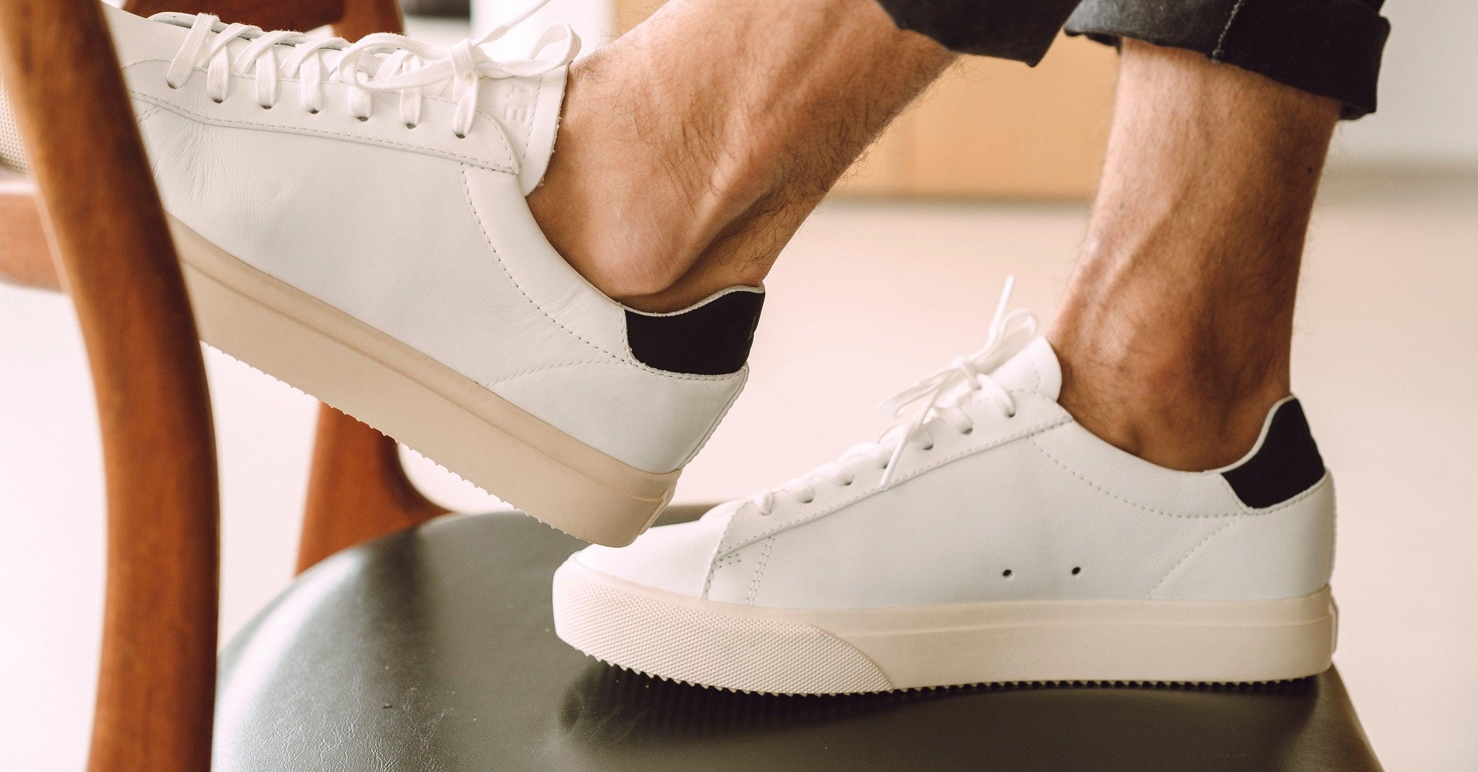 Bradley Venice - CLAE