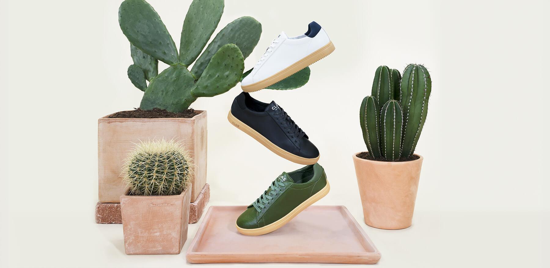 Bradley Cactus - CLAE