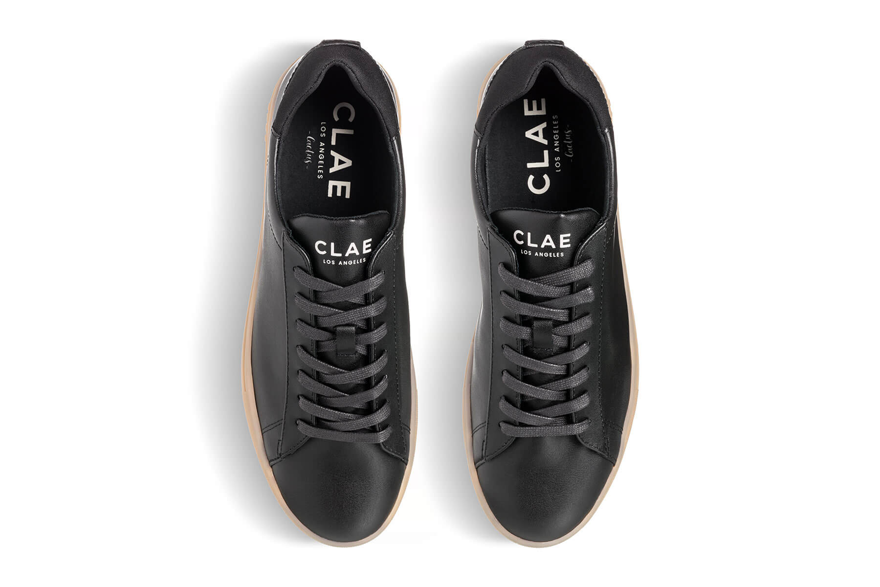 BRADLEY CACTUS - CLAE