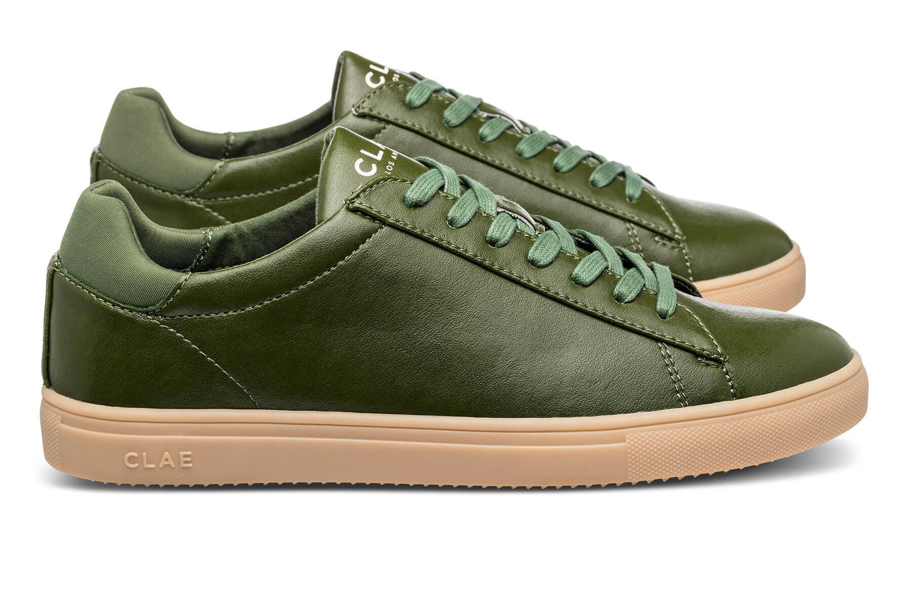 BRADLEY CACTUS - CLAE