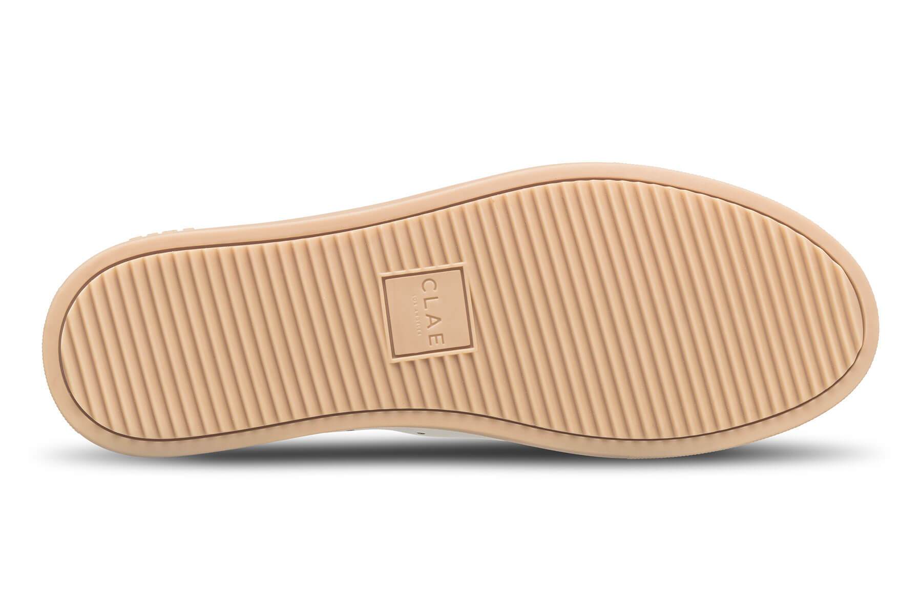 BRADLEY CACTUS - CLAE