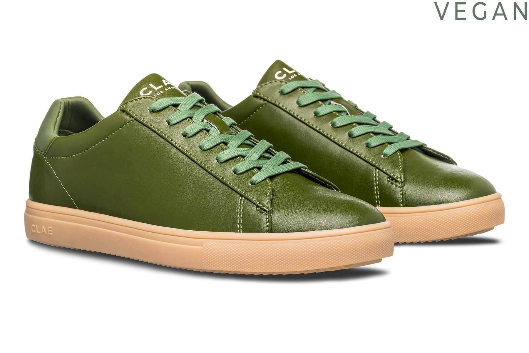BRADLEY CACTUS - CLAE