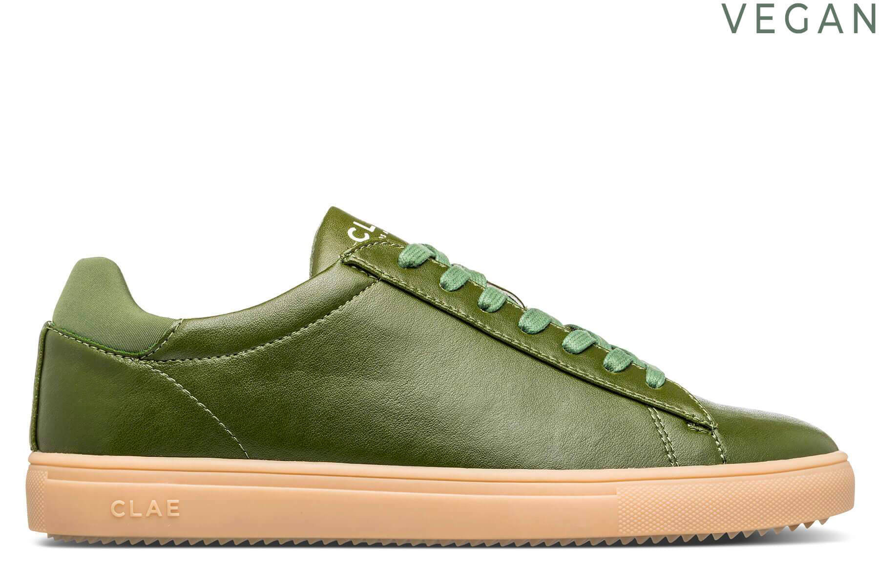 BRADLEY CACTUS - CLAE