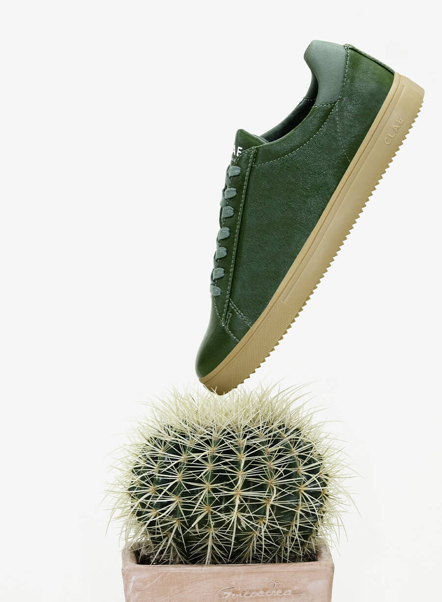BRADLEY CACTUS - CLAE