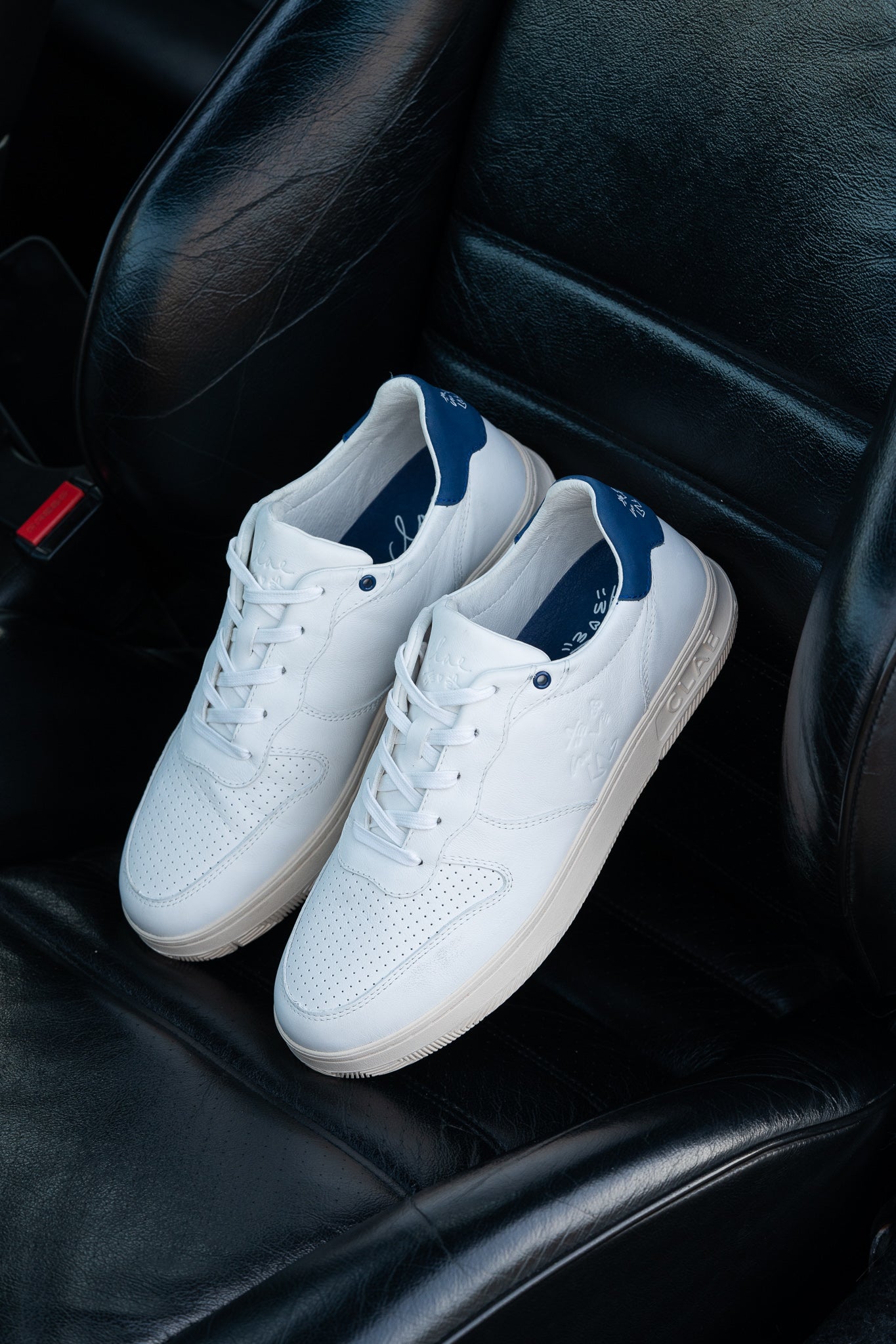 MALONE LIMITED EDITION - LUCAS BEAUFORT - CLAE