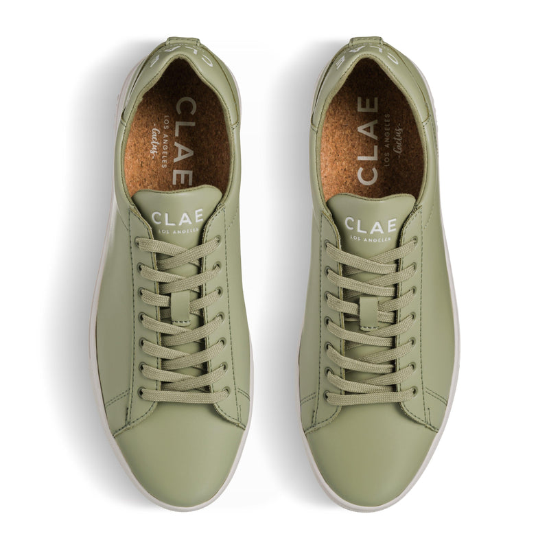 BRADLEY CACTUS - CLAE