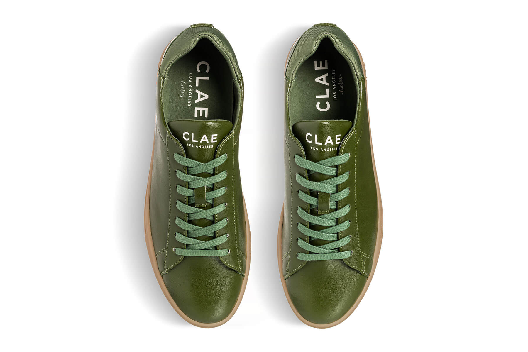 BRADLEY CACTUS - CLAE